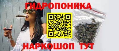 тгк Славянск-на-Кубани