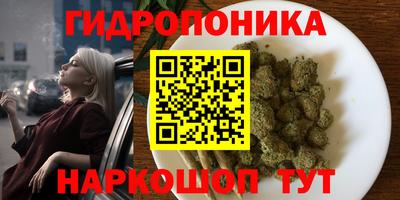 a pvp Сланцы